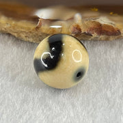 Natural Powerful Tibetan Old Oily Yellowish White with Black Agate Tiger Tooth Daluo Dzi Bead Heavenly Master (Tian Zhu) 虎呀天诛 3.56g 13.7mm - Huangs Jadeite and Jewelry Pte Ltd