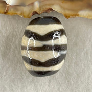 Natural Powerful Tibetan Old Oily Agate Double Tiger Tooth Daluo Dzi Bead Heavenly Master (Tian Zhu) 7.48g 20.4 by 16.2mm - Huangs Jadeite and Jewelry Pte Ltd