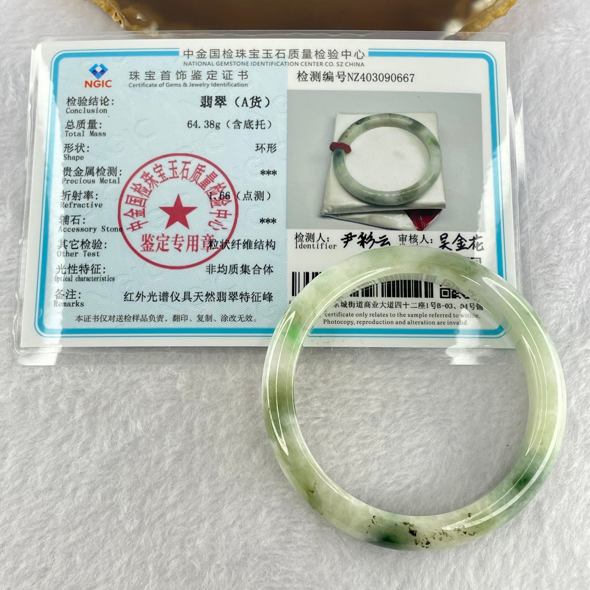 Type A Light Green with Moss Green Piao Hua Jadeite Bangle Internal Diameter 55.6mm 41.97g 10.4 by 7.6mm ( Very Slight External Rough + Internal Lines) - Huangs Jadeite and Jewelry Pte Ltd