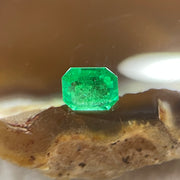 Natural Colombia Vivid Green Emerald (Beryl) Cut-Cornered Rectangular Step cut 0.43ct 5.0 by 4.1 by 2.9mm - Huangs Jadeite and Jewelry Pte Ltd