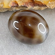 Natural Powerful Tibetan Old Oily Agate 4 Nectar Vessel Dzi Bead Heavenly Master (Tian Zhu) 花蜜容器天珠 2.83g 14.0 by 12.0mm - Huangs Jadeite and Jewelry Pte Ltd