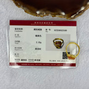 Natural Honey Yellow Amber with Milk Inclusions in S925 Sliver Gold Color Ring (Adjustable Size) 2.32g 9.7 by 9.0 by 4.0mm - Huangs Jadeite and Jewelry Pte Ltd