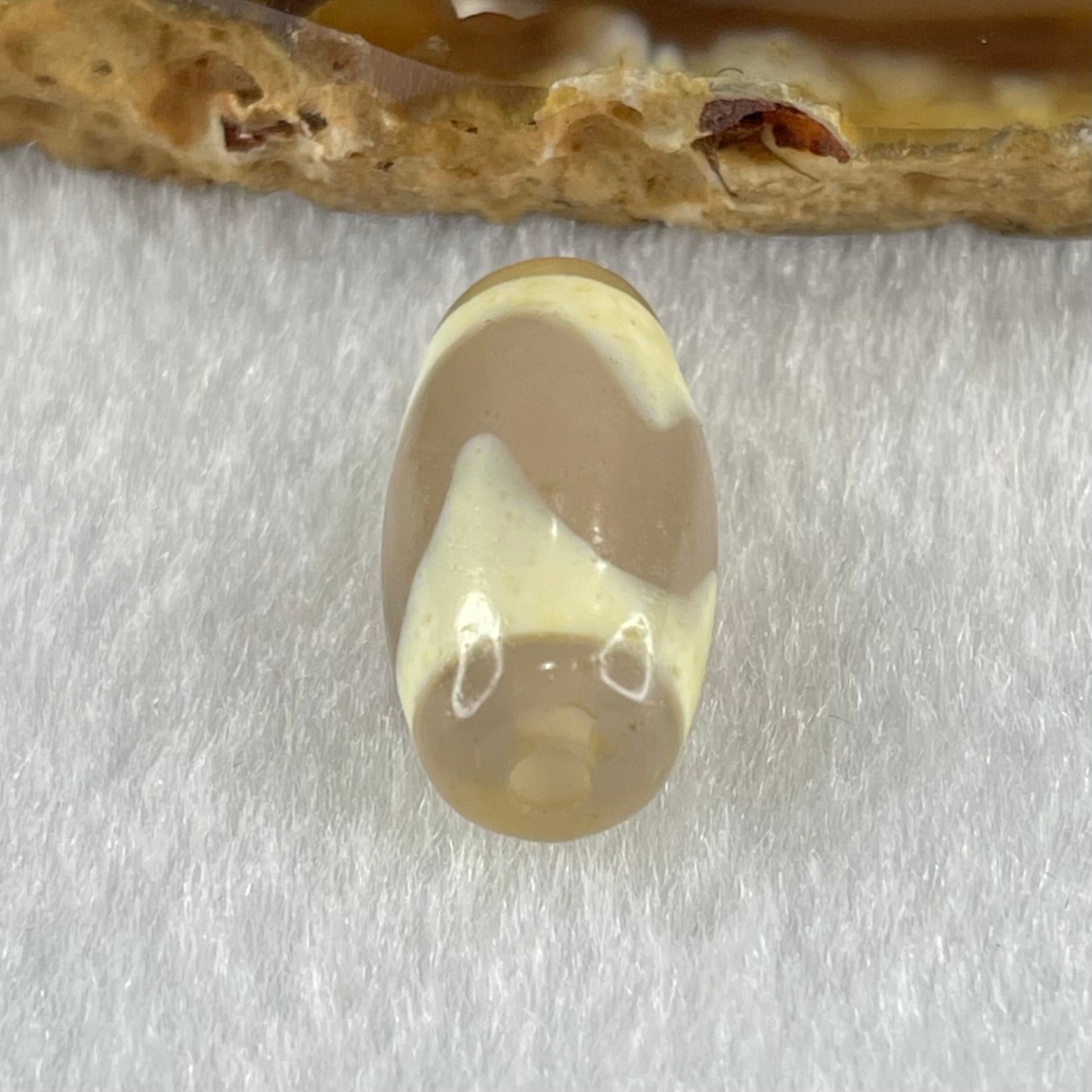 Natural Powerful Tibetan Old Oily Agate Tiger Tooth Daluo Dzi Bead Heavenly Master (Tian Zhu) 虎呀天诛 2.99g 19.7 by 10.2mm - Huangs Jadeite and Jewelry Pte Ltd