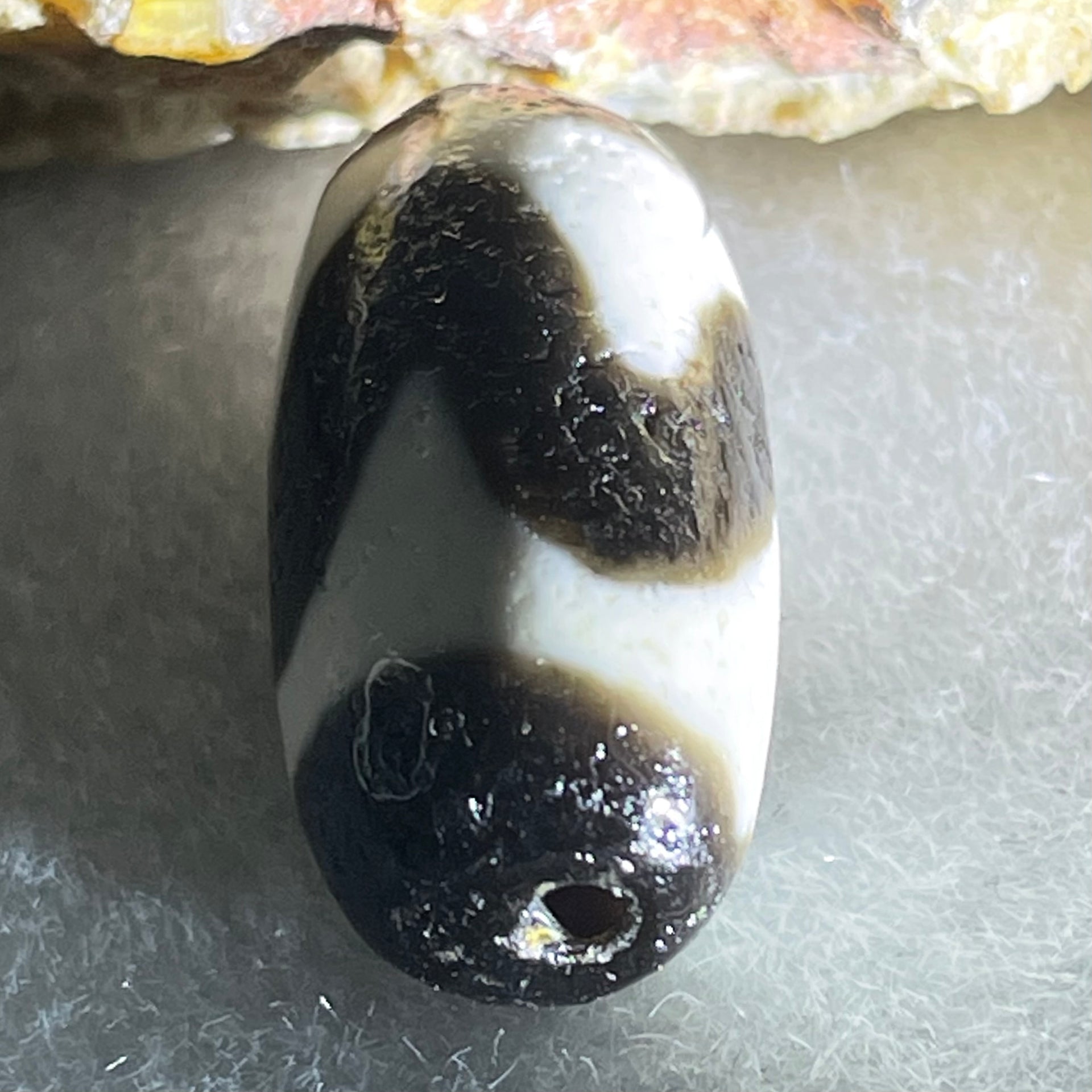Natural Powerful Tibetan Old Oily Agate Tiger Tooth Daluo Dzi Bead Heavenly Master (Tian Zhu) 3.09g 19.4 by 10.2mm - Huangs Jadeite and Jewelry Pte Ltd