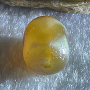 Natural Powerful Tibetan Old Oily Agate Tiger Tooth Daluo Dzi Bead Heavenly Master (Tian Zhu) 虎呀天诛 2.62g 13.8 by 11.0mm - Huangs Jadeite and Jewelry Pte Ltd