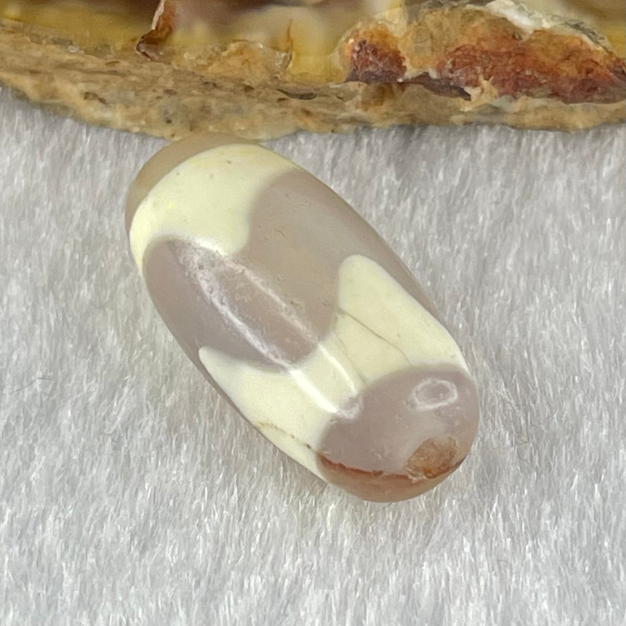 Natural Powerful Tibetan Old Oily Agate Tiger Tooth Daluo Dzi Bead Heavenly Master (Tian Zhu) 虎呀天诛 2.74g 19.8 by 9.8mm - Huangs Jadeite and Jewelry Pte Ltd