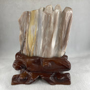 Natural White Yellow Brown Fossilised Petrified Wood with Wooden Stand Display 1,877.7g 160.0 by 107.0 by 200.0mm - Huangs Jadeite and Jewelry Pte Ltd