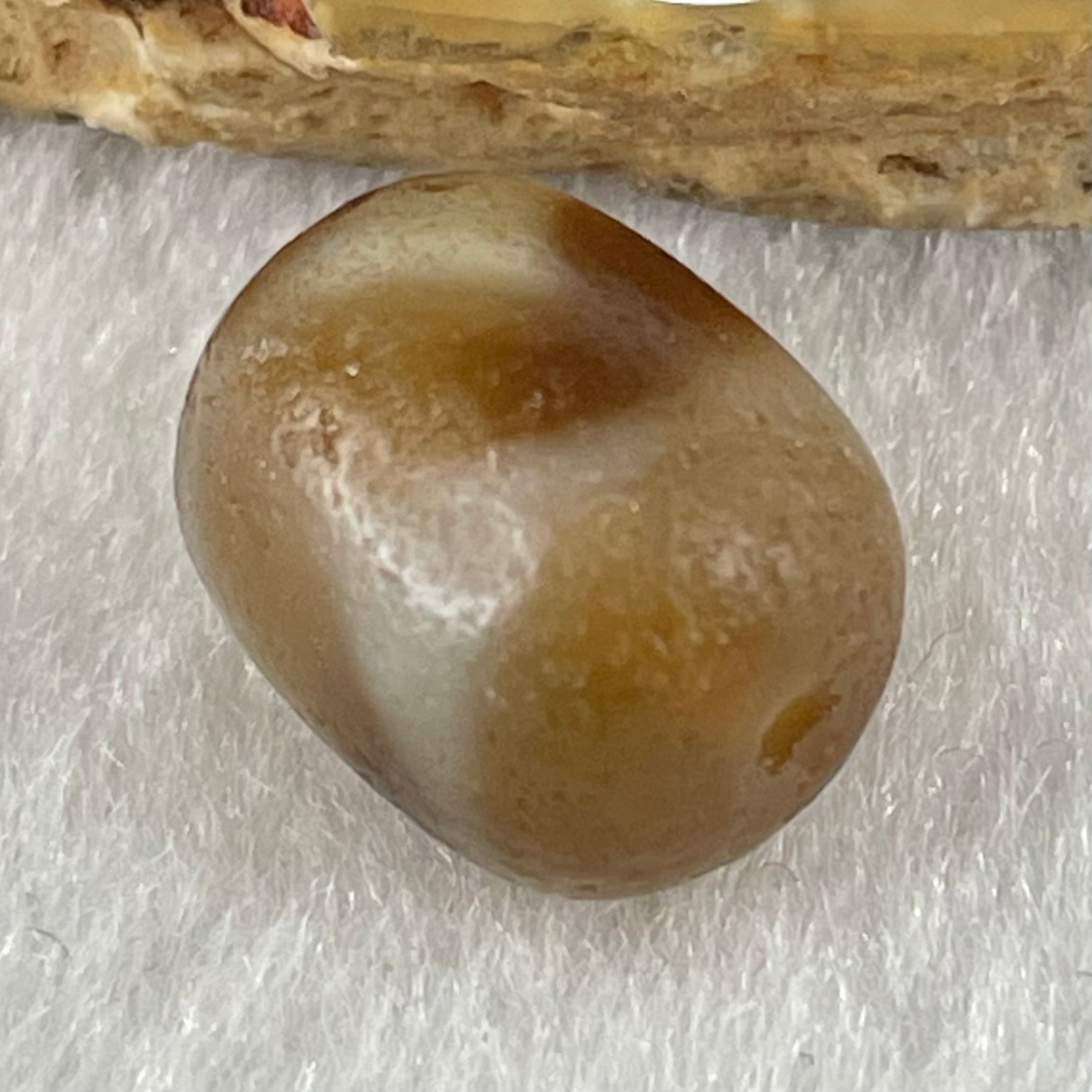 Natural Powerful Tibetan Old Oily Agate Tiger Tooth Daluo Dzi Bead Heavenly Master (Tian Zhu) 虎呀天诛 2.62g 13.8 by 11.0mm - Huangs Jadeite and Jewelry Pte Ltd