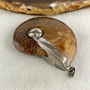 Natural Ammonite Fossil in Silver Pendant 32.29g 47.0 by 38.4 by 15.5mm - Huangs Jadeite and Jewelry Pte Ltd