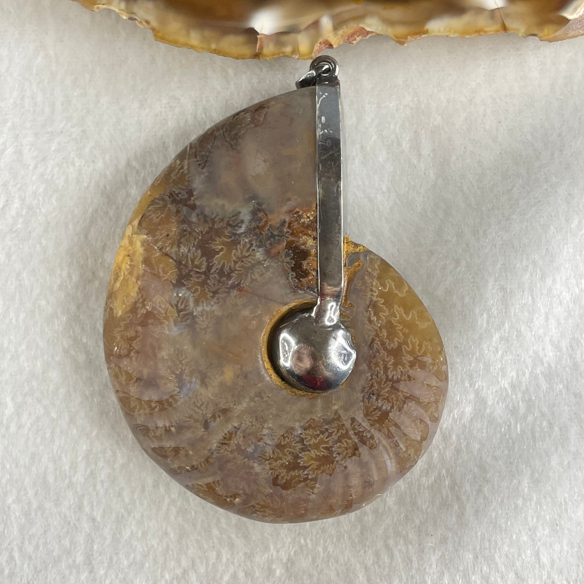 Natural Ammonite Fossil in Silver Pendant 71.05g 62.6 by 51.9 by 17.4mm - Huangs Jadeite and Jewelry Pte Ltd