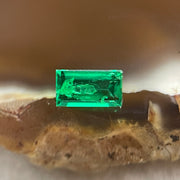 Natural Colombia Vivid Green Emerald (Beryl) Cut-Cornered Rectangular Step cut 0.46ct 6.0 by 3.5 by 2.4mm - Huangs Jadeite and Jewelry Pte Ltd