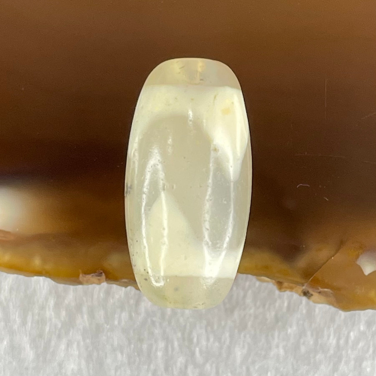 Natural Powerful Tibetan Old Oily Agate Tiger Tooth Daluo Dzi Bead Heavenly Master (Tian Zhu) 虎呀天诛 2.99g 20.1 by 10.2mm - Huangs Jadeite and Jewelry Pte Ltd