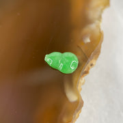 Type A Old Mine Spicy Green Jadeite Hulu Charm Stone For Setting 0.21g 8.5 by 5.5 by 2.2mm - Huangs Jadeite and Jewelry Pte Ltd