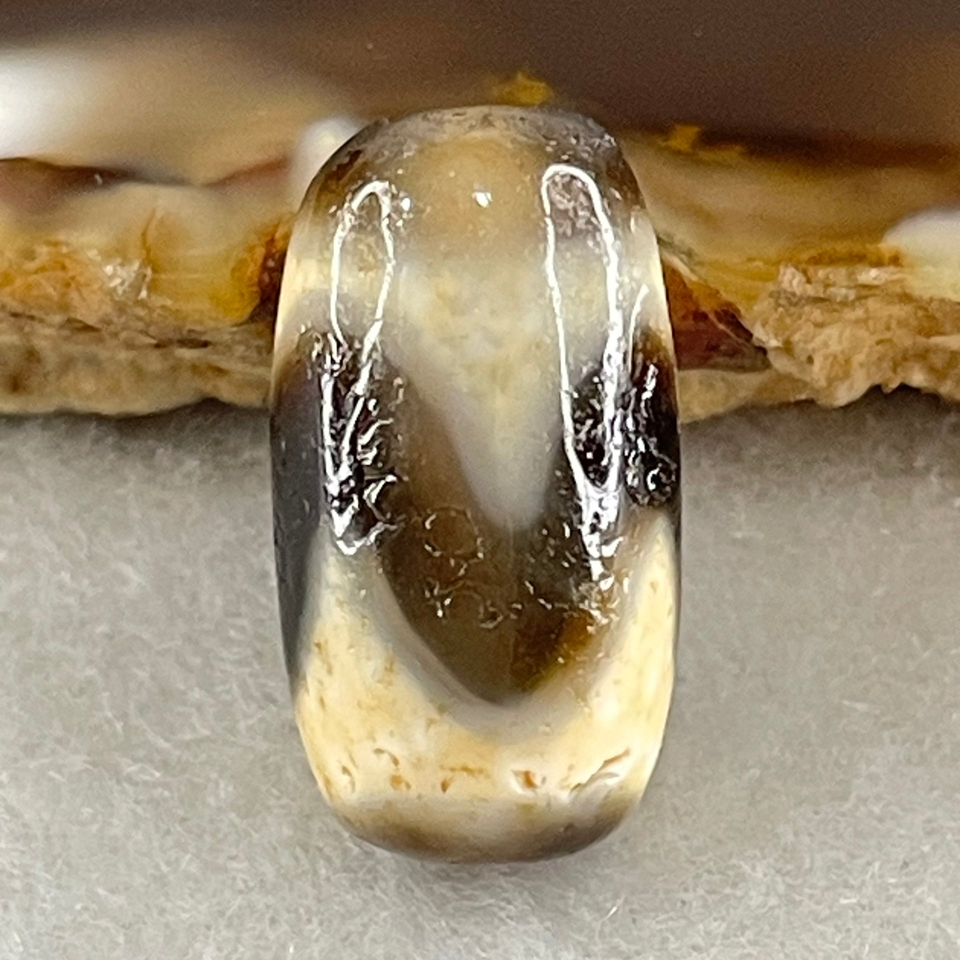 Natural Powerful Tibetan Old Oily Agate Tiger Tooth Daluo Dzi Bead Heavenly Master (Tian Zhu) 2.86g 18.6 by 10.3mm - Huangs Jadeite and Jewelry Pte Ltd