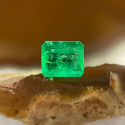 Natural Colombia Vivid Green Emerald (Beryl) Cut-Cornered Rectangular Step cut 0.48ct 5.2 by 4.4 by 2.7mm - Huangs Jadeite and Jewelry Pte Ltd
