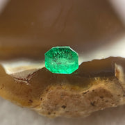 Natural Colombia Vivid Green Emerald (Beryl) Cut-Cornered Rectangular Step cut 0.44ct 4.5 by 4.0 by 3.8mm - Huangs Jadeite and Jewelry Pte Ltd