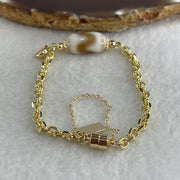 Natural Powerful Tibetan Old Oily Agate Tiger Tooth Daluo Dzi Bead with Stainless Steel Gold Color Bracelet 10.37g 16cm 19.1 by 10.1mm - Huangs Jadeite and Jewelry Pte Ltd