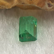 Natural Colombia Green Emerald (Beryl) Cut-Cornered Rectangular step cut 0.84ct 6.9 by 4.2 by 3.1mm - Huangs Jadeite and Jewelry Pte Ltd