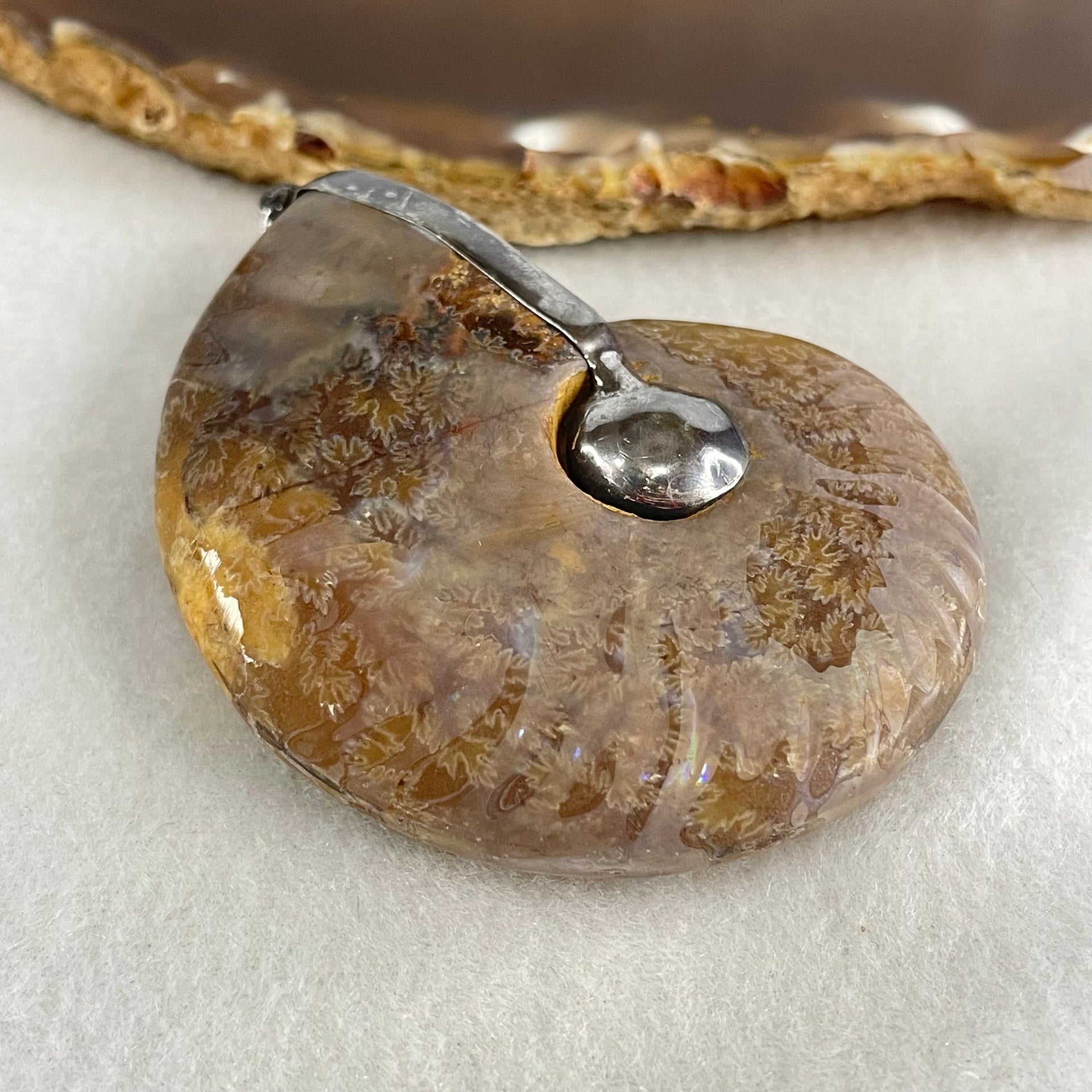 Natural Ammonite Fossil in Silver Pendant 71.05g 62.6 by 51.9 by 17.4mm - Huangs Jadeite and Jewelry Pte Ltd