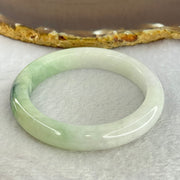 Type A Green Lavender with Dark Green Piao Hua Jadeite Bangle Internal Diameter 52.7mm 44.21g 10.1 by 8.4mm (Slight Internal Lines) - Huangs Jadeite and Jewelry Pte Ltd