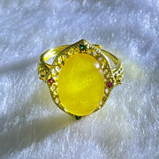 Natural Yellow Butterscotch Amber in S925 Sliver Gold Color Ring (Adjustable Size) 2.43g 2.43g 14.0 by 10.2 by 6.0mm - Huangs Jadeite and Jewelry Pte Ltd