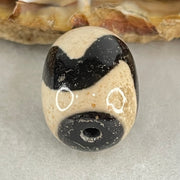 Natural Powerful Tibetan Old Oily Agate Tiger Tooth Daluo Dzi Bead Heavenly Master (Tian Zhu) 虎呀天诛 5.24g 17.7 by 13.7mm - Huangs Jadeite and Jewelry Pte Ltd