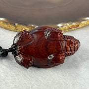 Natural African Rosewood Dragon Tortoise Handplay 天然非洲紫檀龙龟手把件 50.20g 60.8 by 36.6 by 40.0mm - Huangs Jadeite and Jewelry Pte Ltd