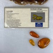 Natural Amber for Setting (Set of 3) 3.44g 30.8 by 21.3 by 8.6mm 1.08g 25.4 by 11.4 by 6.7mm 0.56g 17.2 by 9.2 by 5.9mm - Huangs Jadeite and Jewelry Pte Ltd