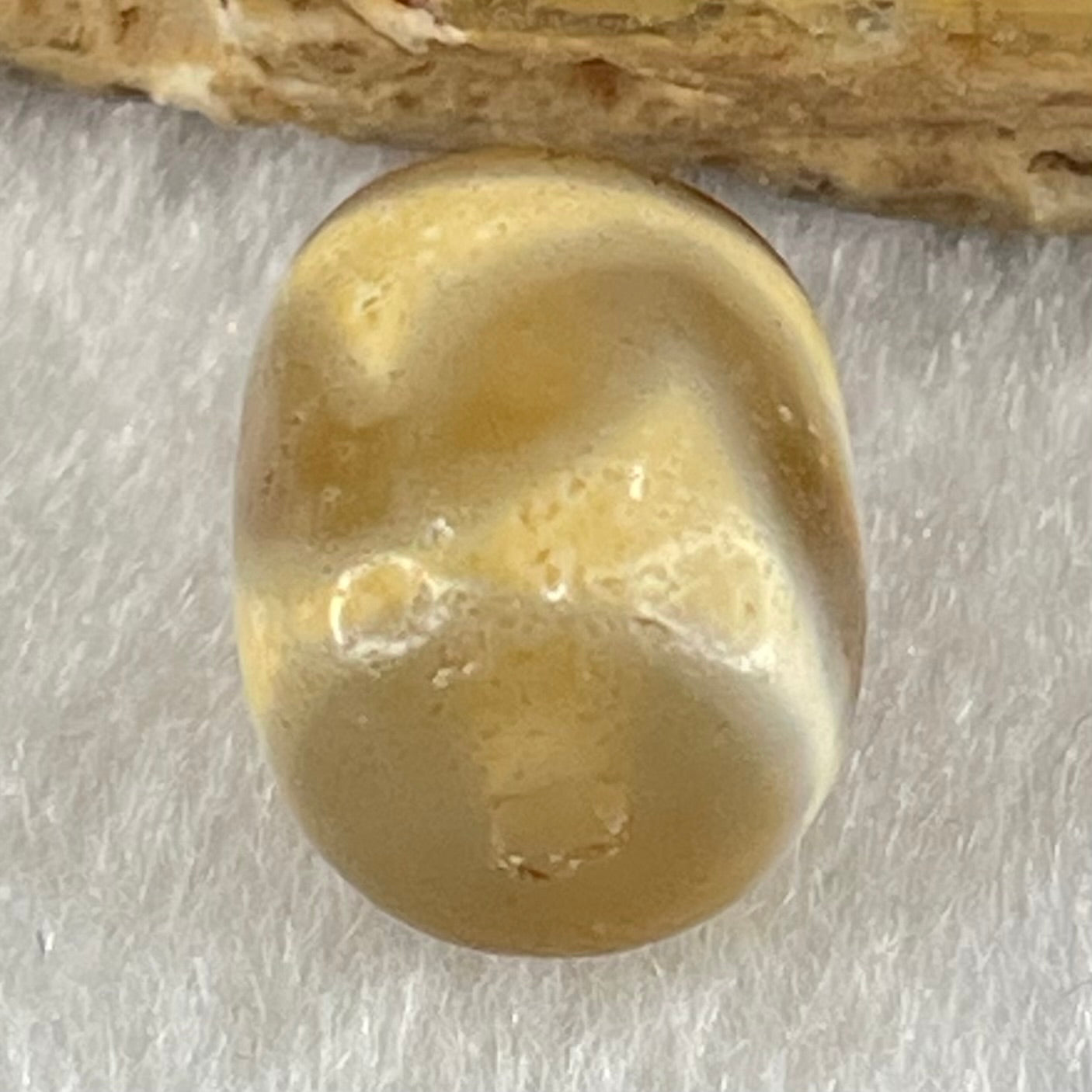 Natural Powerful Tibetan Old Oily Agate Tiger Tooth Daluo Dzi Bead Heavenly Master (Tian Zhu) 虎呀天诛 2.46g 13.4 by 10.7mm - Huangs Jadeite and Jewelry Pte Ltd