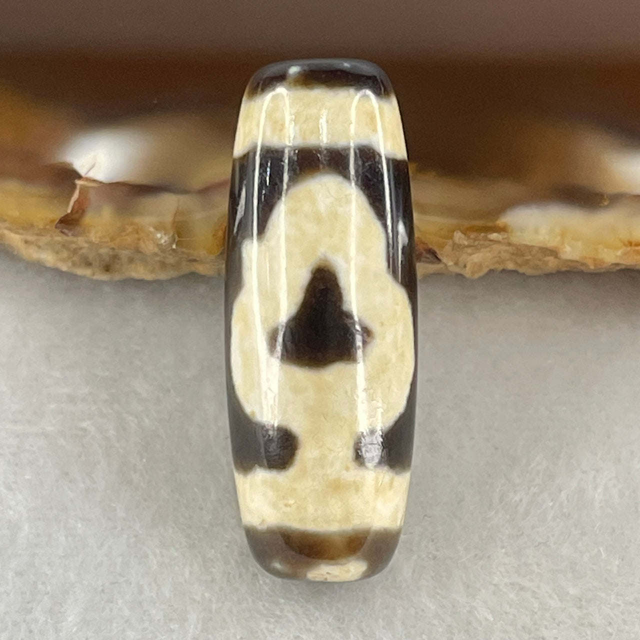 Natural Powerful Tibetan Old Oily Double Bodhi Tree Dzi Bead Heavenly Master (Tian Zhu) 菩提树天珠 5.06g 28.6 by 10.8mm - Huangs Jadeite and Jewelry Pte Ltd