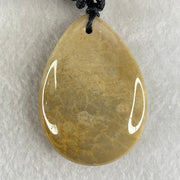 Natural Brown Coral Agate Pendant 19.88g 44.0 by 31.3 by 10.5mm - Huangs Jadeite and Jewelry Pte Ltd