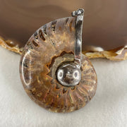 Natural Ammonite Fossil in Silver Pendant 61.42g 56.0 by 44.4 by 18.4mm - Huangs Jadeite and Jewelry Pte Ltd