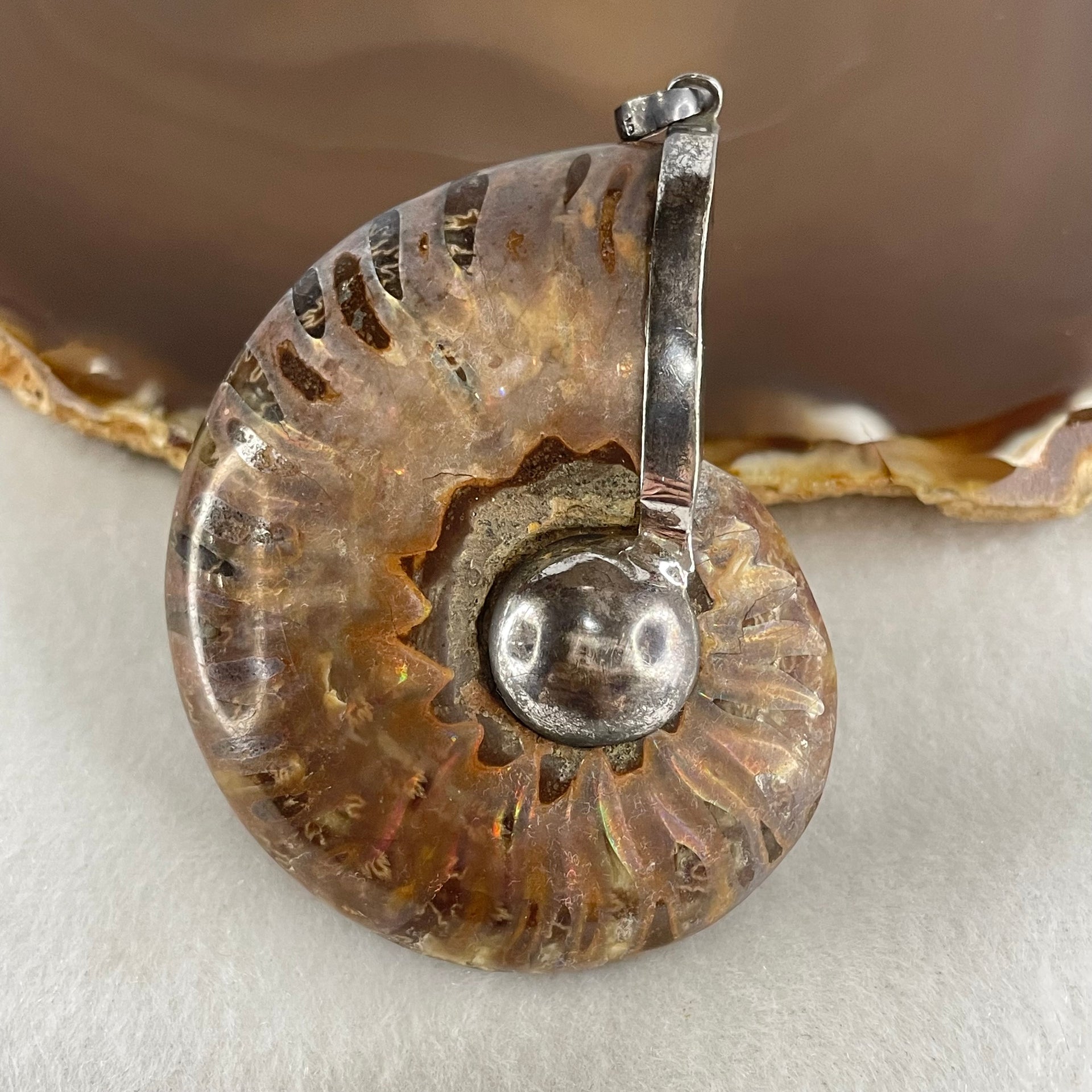 Natural Ammonite Fossil in Silver Pendant 61.42g 56.0 by 44.4 by 18.4mm - Huangs Jadeite and Jewelry Pte Ltd