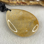 Natural Brown Coral Agate Pendant 19.88g 44.0 by 31.3 by 10.5mm - Huangs Jadeite and Jewelry Pte Ltd