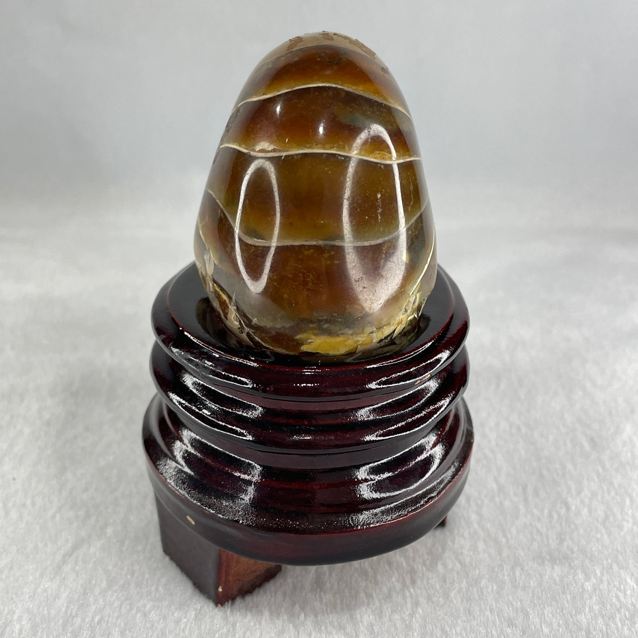 Natural Ammonite Ammonoid Fossil with Wooden Stand 331.4g 92.0 by 70.2 y 103.5mm - Huangs Jadeite and Jewelry Pte Ltd