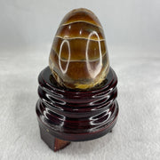 Natural Ammonite Ammonoid Fossil with Wooden Stand 331.4g 92.0 by 70.2 y 103.5mm - Huangs Jadeite and Jewelry Pte Ltd