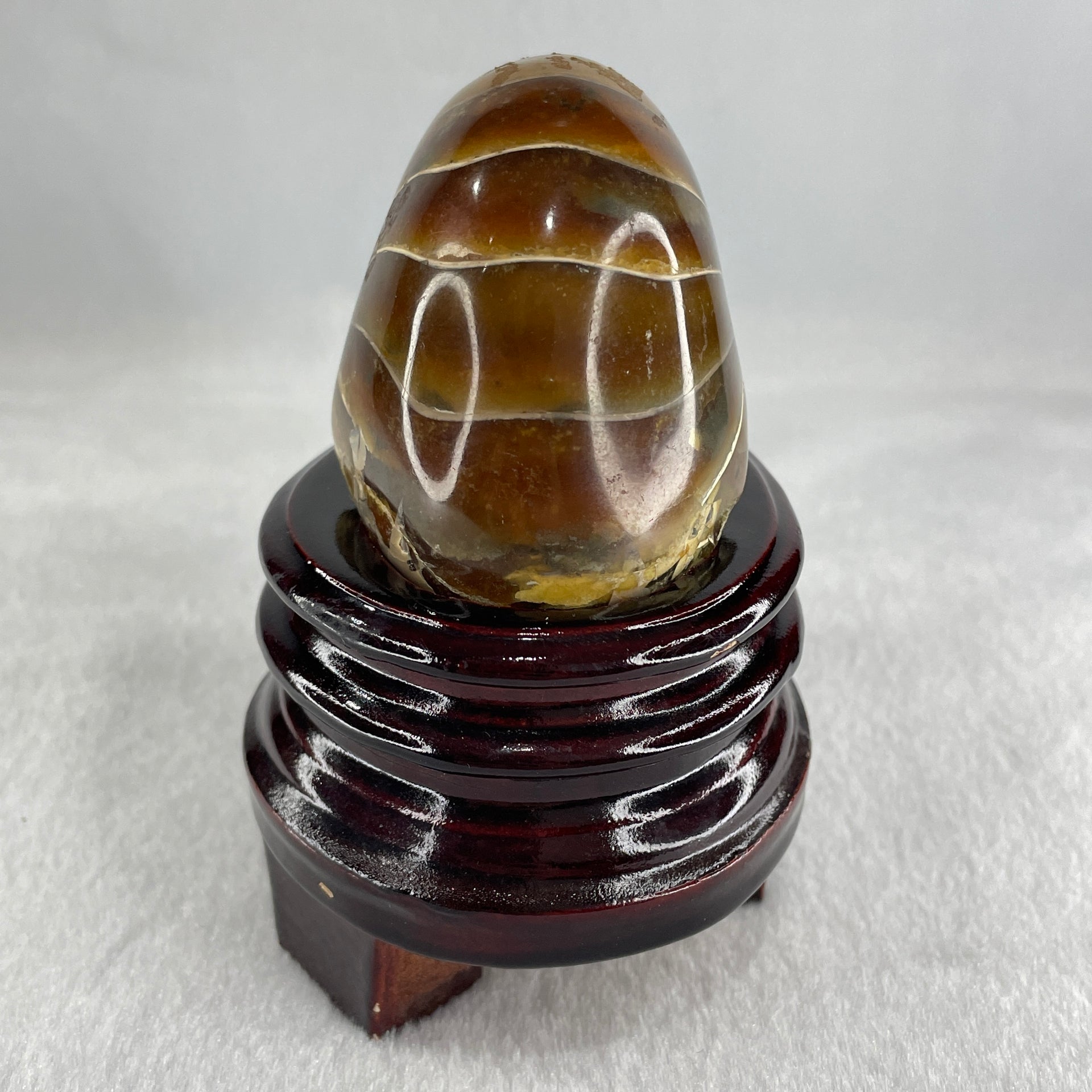 Natural Ammonite Ammonoid Fossil with Wooden Stand 331.4g 92.0 by 70.2 y 103.5mm - Huangs Jadeite and Jewelry Pte Ltd