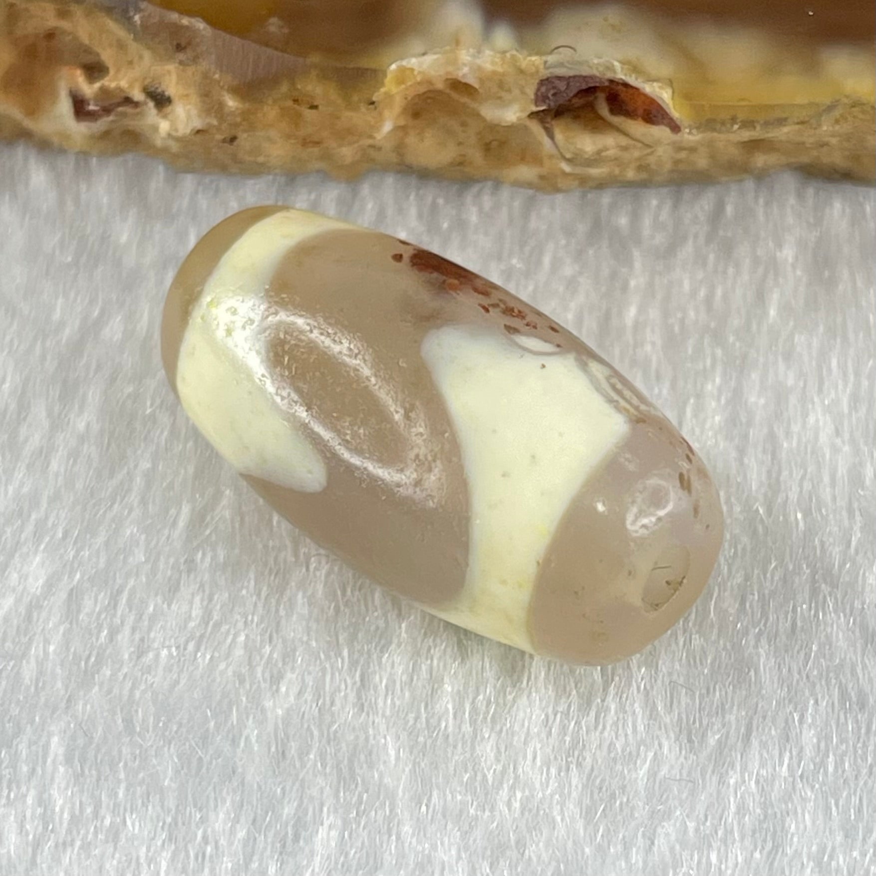 Natural Powerful Tibetan Old Oily Agate Tiger Tooth Daluo Dzi Bead Heavenly Master (Tian Zhu) 虎呀天诛 2.99g 19.7 by 10.2mm - Huangs Jadeite and Jewelry Pte Ltd