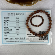 Natural Copper Rutilated Quartz Beads Bracelet 天然銅髮晶手镯 16.22g 16cm 7.9mm 25 Beads - Huangs Jadeite and Jewelry Pte Ltd