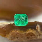 Natural Colombia Vivid Green Emerald (Beryl) Cut-Cornered Rectangular Step cut 0.44ct 4.9 by 4.5 by 2.9mm - Huangs Jadeite and Jewelry Pte Ltd