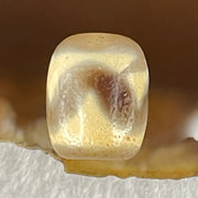 Natural Powerful Tibetan Old Oily Agate Tiger Tooth Daluo Dzi Bead Heavenly Master (Tian Zhu) 虎呀天诛 2.59g 13.4 by 11.0mm - Huangs Jadeite and Jewelry Pte Ltd