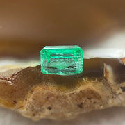 Natural Colombia Vivid Green Emerald (Beryl) Cut-Cornered Rectangle Step cut 0.49ct 5.4 by 3.7 by 2.9mm - Huangs Jadeite and Jewelry Pte Ltd
