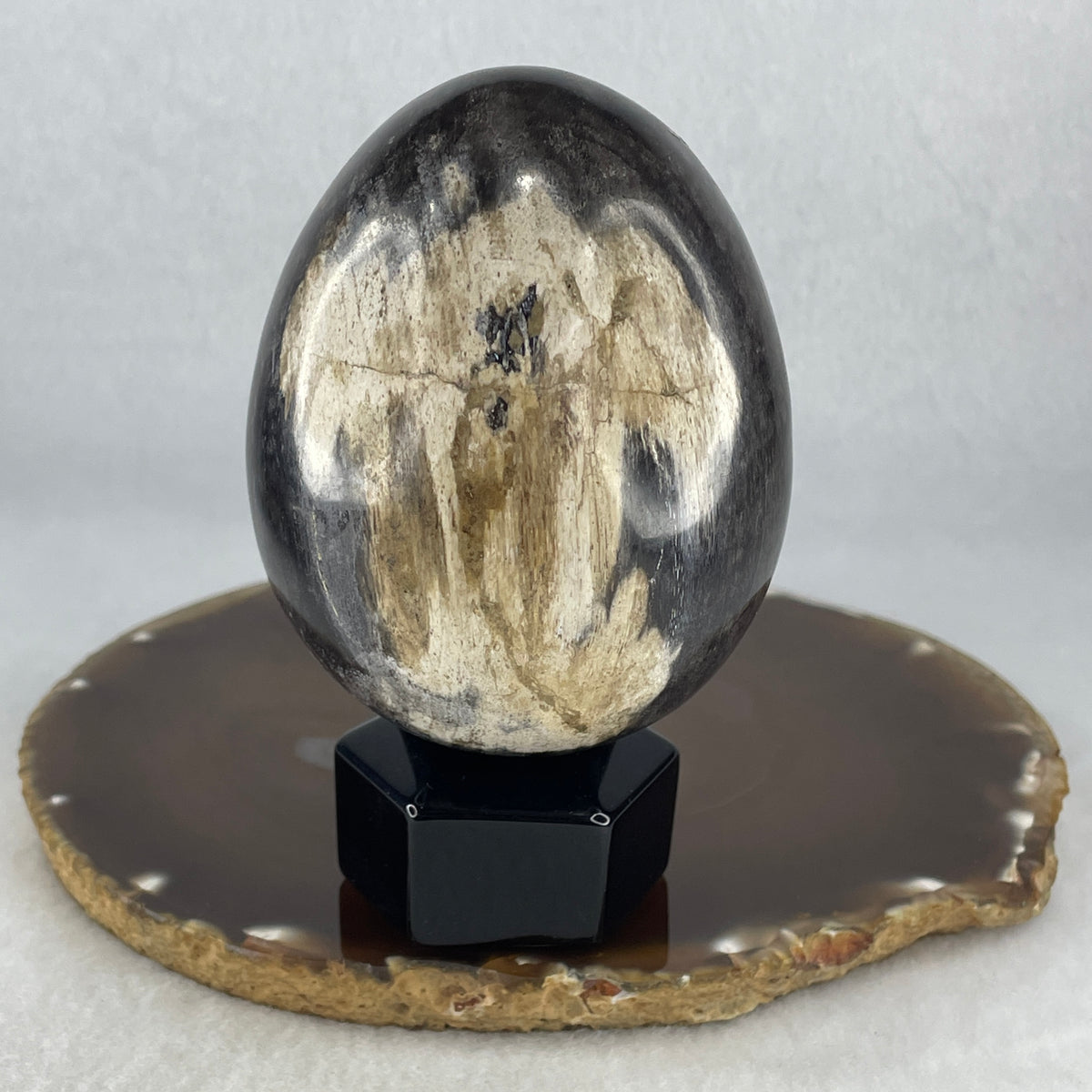 Natural Petrified Wood Egg Sculpture Display with Wooden Stand | Fossilized Earth & Beginnings Talisman (536.3g | 67.5x105.5mm | Anchor, Primordial Stability, Life Force Regeneration & Financial Security)