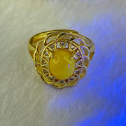 Natural Butterscotch Amber With Crystals in S925 Sliver Gold Color Ring (Adjustable Size) 3.74g 8.9 by 7.2 by 5.0mm - Huangs Jadeite and Jewelry Pte Ltd