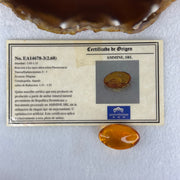 Natural Amber for Setting 2.70g 25.8 by 15.8 by 12.1mm - Huangs Jadeite and Jewelry Pte Ltd