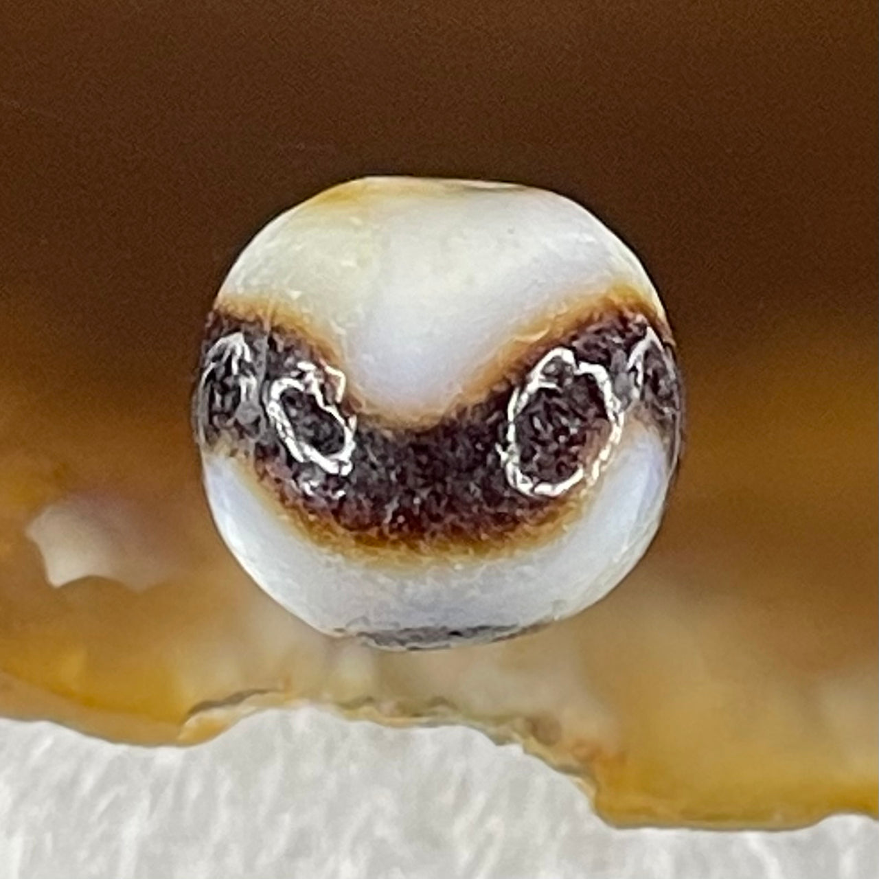 Natural Powerful Tibetan Old Oily Agate Tiger Tooth Daluo Dzi Bead Heavenly Master (Tian Zhu) 虎呀天诛 1.40g 9.8 by 10.3mm - Huangs Jadeite and Jewelry Pte Ltd