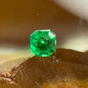 Natural Colombia Vivid Green Emerald (Beryl) Cut-Cornered Square Step cut 0.06ct 2.2 by 2.0 by 1.8mm - Huangs Jadeite and Jewelry Pte Ltd