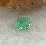 Natural Colombia Vivid Green Emerald (Beryl) Cut-Cornered Square Step cut 0.41ct 4.5 by 4.3 by 3.2mm - Huangs Jadeite and Jewelry Pte Ltd