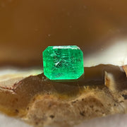 Natural Colombia Vivid Green Emerald (Beryl) Cut-Cornered Rectangular Step cut 0.48ct 5.2 by 4.5 by 2.8mm - Huangs Jadeite and Jewelry Pte Ltd