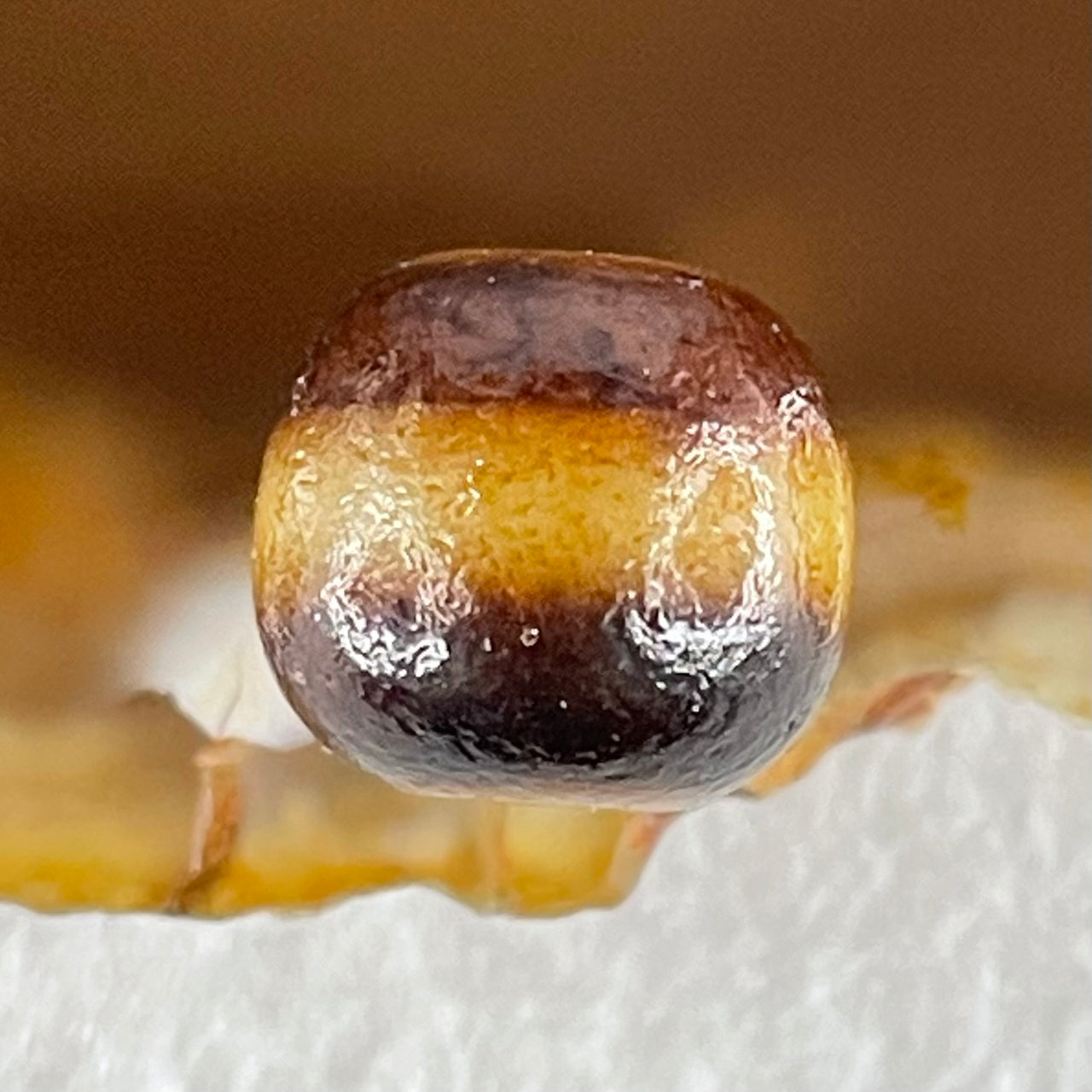 Natural Powerful Tibetan Old Oily Agate 1 Line Dzi Bead Heavenly Master (Tian Zhu) 1.89g 10.1 by 11.1mm - Huangs Jadeite and Jewelry Pte Ltd